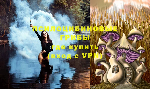 дмт Горно-Алтайск